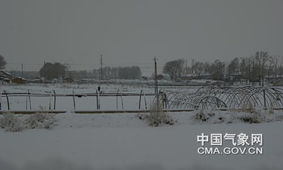 张北天气（张北 天气）