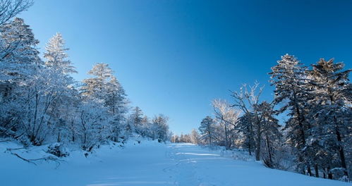永吉县天气预报（永吉县天气预报7天）