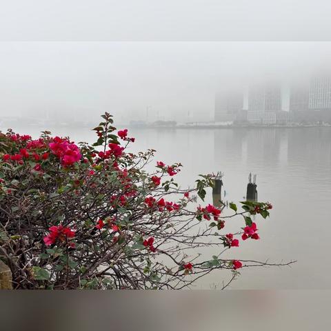 广州市天气预报一周天气（广州市天气预报40天）