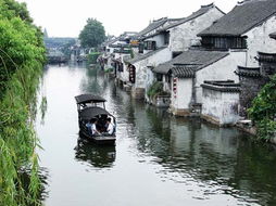 乌镇在哪个城市（水乡乌镇在哪个城市）
