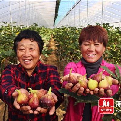 涿州天气（涿州天气24小时实时）