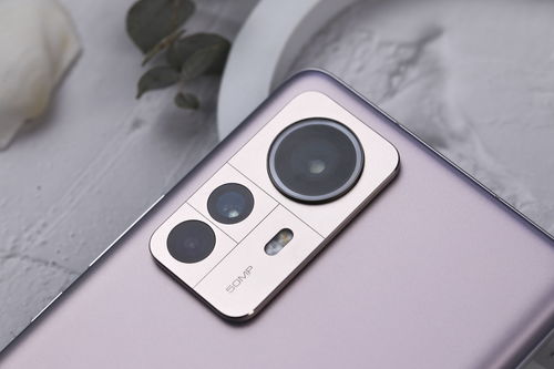风行体育中心版V38.98.71.219苹果版本-好用