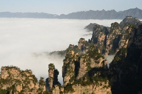 张家界天气预报十五天(张家界天气预报十五天内) 张家界天气预报十五天(张家界天气预报十五天内)