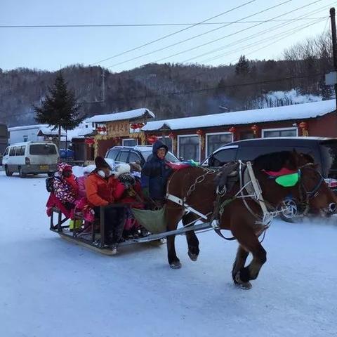 去哈尔滨看雪最佳时间(去哈尔滨看雪最佳时间是多少) 去哈尔滨看雪最佳时间(去哈尔滨看雪最佳时间是多少)