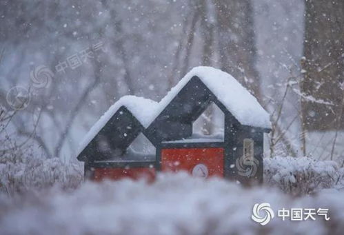 湖南将出现暴雪或大暴雪（湖南省大暴雪放假通知）