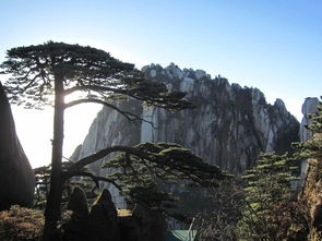黄山天气预报（黄山天气预报15天景区山顶）