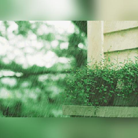 武汉今天大暴雨最新消息（武汉今天大暴雨最新消息数据）