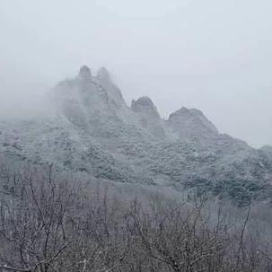 山东发布最新天气预报(山东最新天气情况) 山东发布最新天气预报(山东最新天气情况)